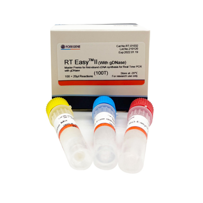 RT EasyTM II con las cartillas reversas de la transcripción para utilizar la mezcla preparada de antemano principal para la síntesis del Primero-filamento CDNA/la polimerización en cadena en tiempo real