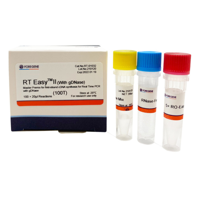 RT EasyTM II con las cartillas reversas de la transcripción para utilizar la mezcla preparada de antemano principal para la síntesis del Primero-filamento CDNA/la polimerización en cadena en tiempo real