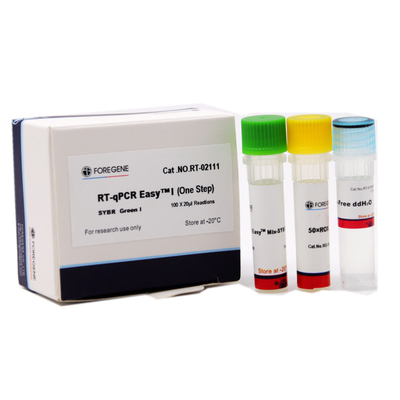 El paso SYBR de RT-QPCR EasyTM I uno me pone verde termina la detección cuantitativa de genes para el RT y la polimerización en cadena en tiempo real