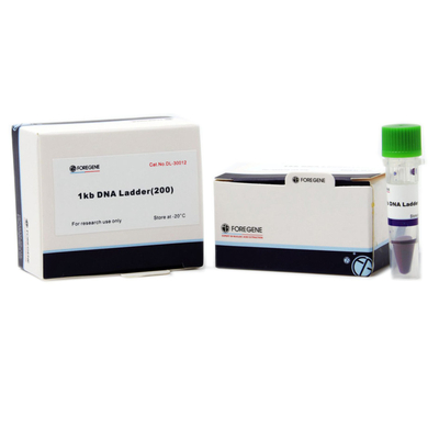 La electroforesis del gel de la agarosa utiliza la escalera de la DNA con los tamaños que se extienden a partir de 1 Kb al Kb 8