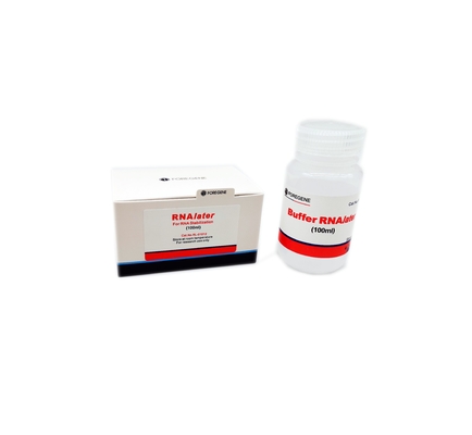 solución de la protección de RNAlater de los equipos del aislamiento del ARN de 50ml 100ml 100ml×4 para la muestra de tejido