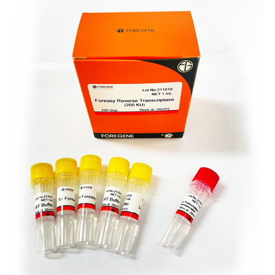 Revés Transcriptase de Foreasy M-MLV para los equipos de la polimerización en cadena de la extensión de la cartilla de la síntesis de CDNA con la polimerasa de DNA