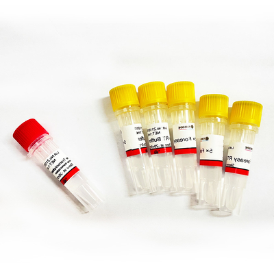 Revés Transcriptase de Foreasy M-MLV para los equipos de la polimerización en cadena de la extensión de la cartilla de la síntesis de CDNA con la polimerasa de DNA