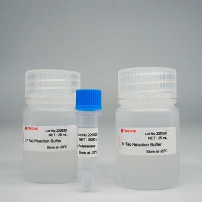 Polimerasa Kit For PCR/QPCR de HotStar Taq de la polimerasa de DNA de Foreasy Taq