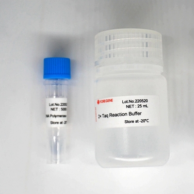 Polimerasa Kit For PCR/QPCR de HotStar Taq de la polimerasa de DNA de Foreasy Taq