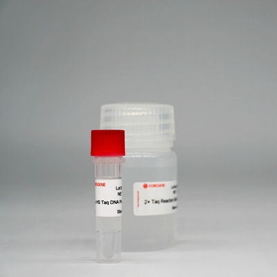 Mezcla estupenda de la enzima de HotStar Taq de la polimerasa de DNA de Foreasy HS Taq para PCR/QPCR