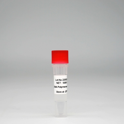Mezcla estupenda de la enzima de HotStar Taq de la polimerasa de DNA de Foreasy HS Taq para PCR/QPCR
