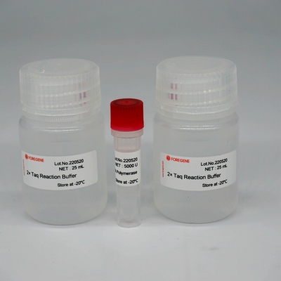 Mezcla estupenda de la enzima de HotStar Taq de la polimerasa de DNA de Foreasy HS Taq para PCR/QPCR