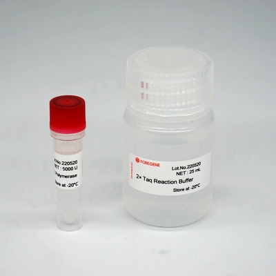 Mezcla estupenda de la enzima de HotStar Taq de la polimerasa de DNA de Foreasy HS Taq para PCR/QPCR
