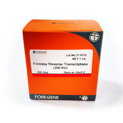 Nueva generación de Foreasy de enzima Foreasy de Transcriptase RT del revés de M-MLV
