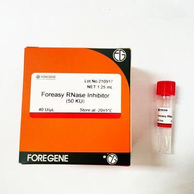 Inhibidor de la ARNasa de Foreasy de la producción de la fábrica de China IVD alto para la protección del ARN