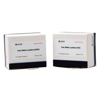 Marcador 5000 de la DNA de Foregene 400 μL de las pruebas 500x4 que embala al marcador de la DNA 100bp-5000bp