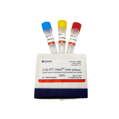 Mezcla preparada de antemano estupenda del Lnc-RT HeroTM I (con gDNase) para la síntesis del cDNA del primero-filamento del lncRNA Cat.No.RTL-09098/09099