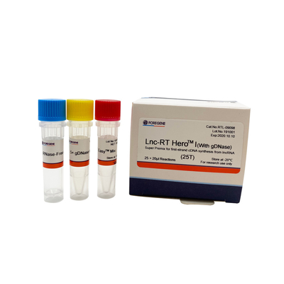 Mezcla preparada de antemano estupenda del Lnc-RT HeroTM I (con gDNase) para la síntesis del cDNA del primero-filamento del lncRNA Cat.No.RTL-09098/09099