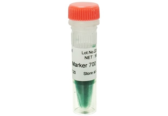 Escalera 700bp de la DNA del equipo de la polimerización en cadena del gel de la agarosa del marcador de la DNA para las pruebas de la biología molecular