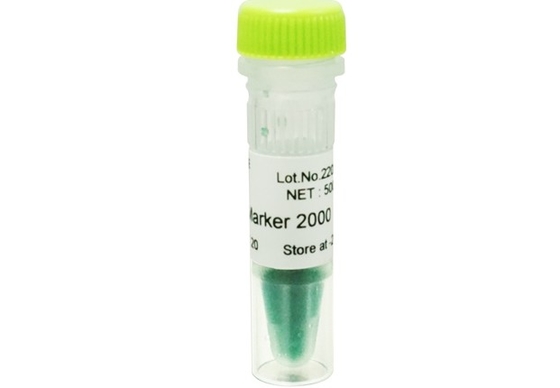 escalera de la DNA del equipo de la polimerización en cadena del gel de la agarosa del marcador de la DNA 2000bp para la investigación