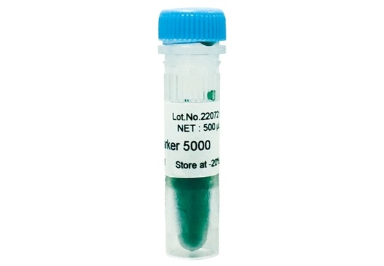 Escalera 5000bp de la DNA del equipo de la polimerización en cadena del gel de la agarosa del marcador de la DNA para las pruebas de la biología molecular de la investigación