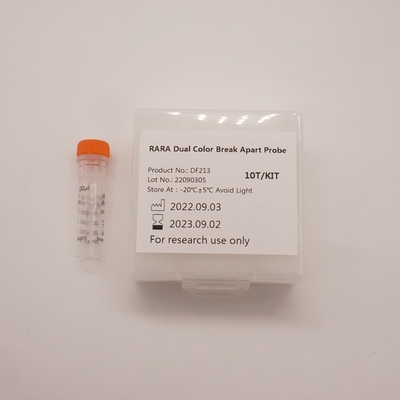 Sonda de ruptura de color dual RARA para detectar anomalías en el gen RARA humano