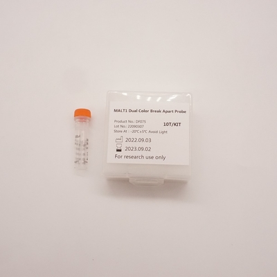 Sonda MALT1 de doble color para detectar anomalías en el gen MALT1 humano