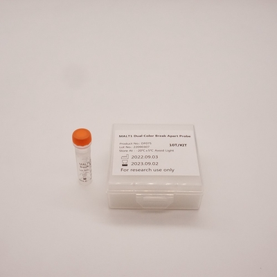 Sonda MALT1 de doble color para detectar anomalías en el gen MALT1 humano