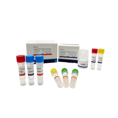 Proteja el CL que un equipo 200T 1000T del RT QPCR del paso cultivó la célula RT-QPCR directo