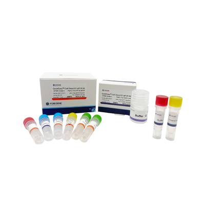Proteja el CL que un equipo 200T 1000T del RT QPCR del paso cultivó la célula RT-QPCR directo