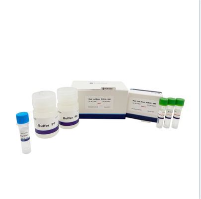 La planta sale de los componentes directos del polifenol de la polimerización en cadena Kit Containing Low Polysaccharide And para las plantas transgénicas