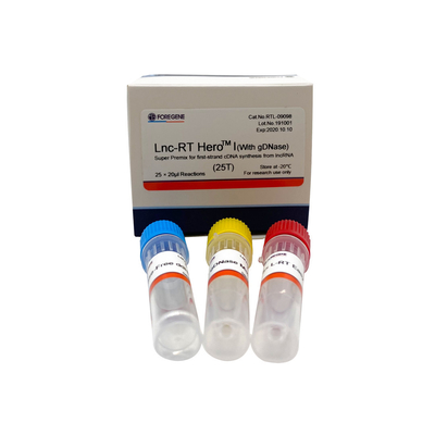 Lnc-RT HeroTM I (con el gDNase) (mezcla preparada de antemano estupenda para la síntesis del cDNA del primero-filamento del lncRNA)