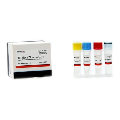 Mezcla preparada de antemano principal fácil reversa del sistema RT I de la transcripción de la primera síntesis del filamento CDNA
