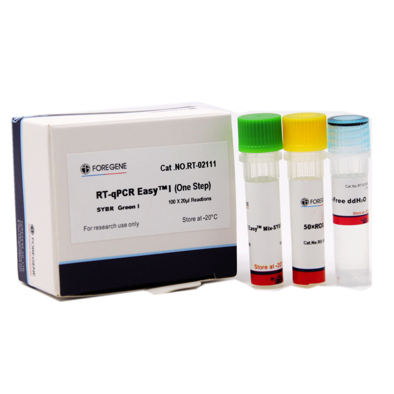 El paso SYBR de RT-QPCR EasyTM I uno me pone verde termina la detección cuantitativa de genes para el RT y la polimerización en cadena en tiempo real