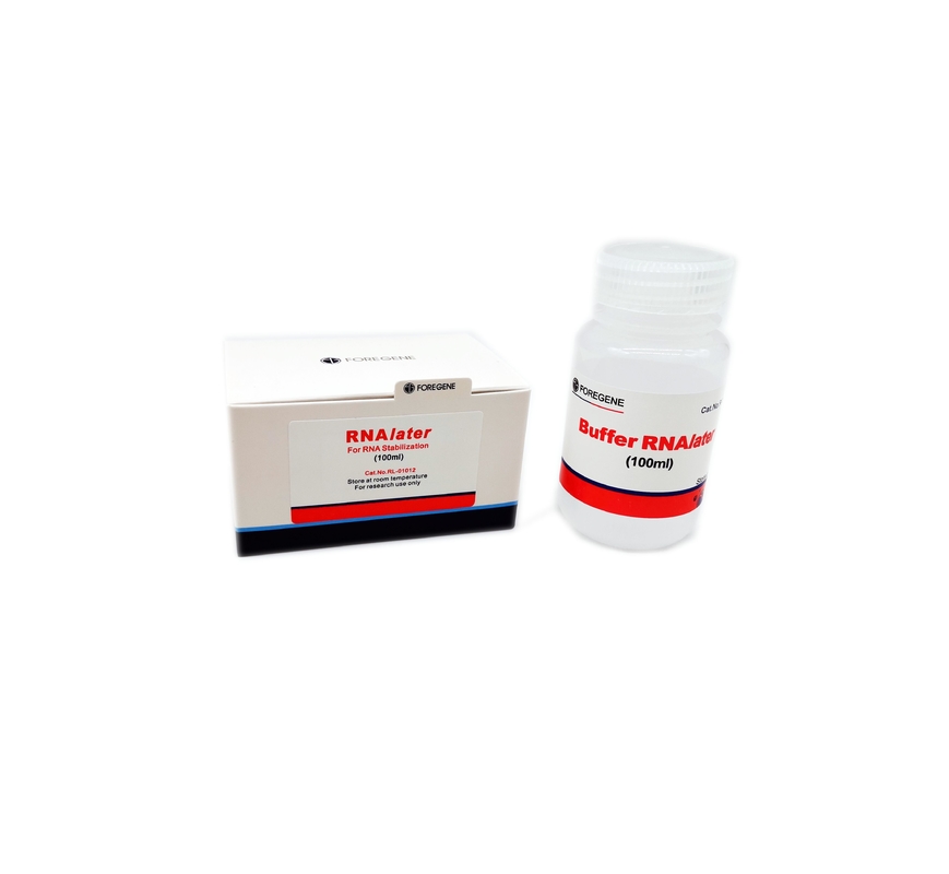solución de la protección de RNAlater de los equipos del aislamiento del ARN de 50ml 100ml 100ml×4 para la muestra de tejido