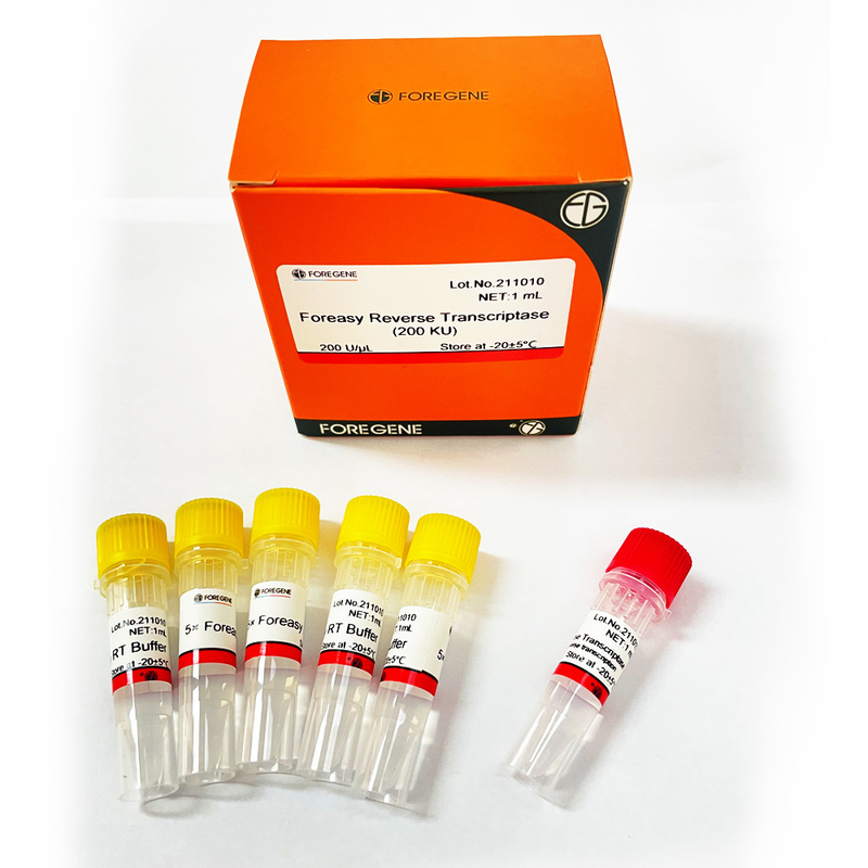 Revés Transcriptase de Foreasy M-MLV para los equipos de la polimerización en cadena de la extensión de la cartilla de la síntesis de CDNA con la polimerasa de DNA