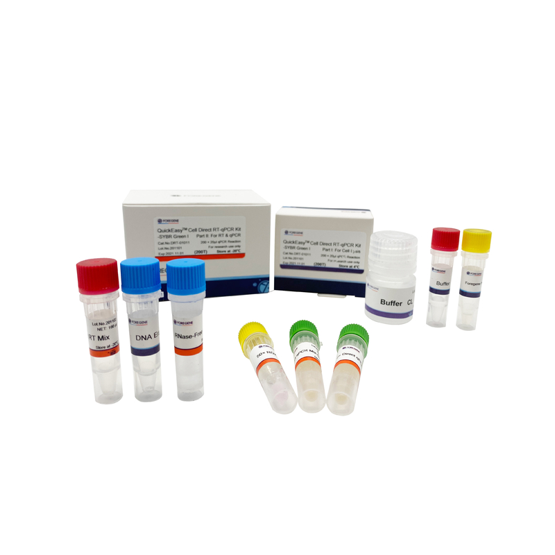 Proteja el CL que un equipo 200T 1000T del RT QPCR del paso cultivó la célula RT-QPCR directo